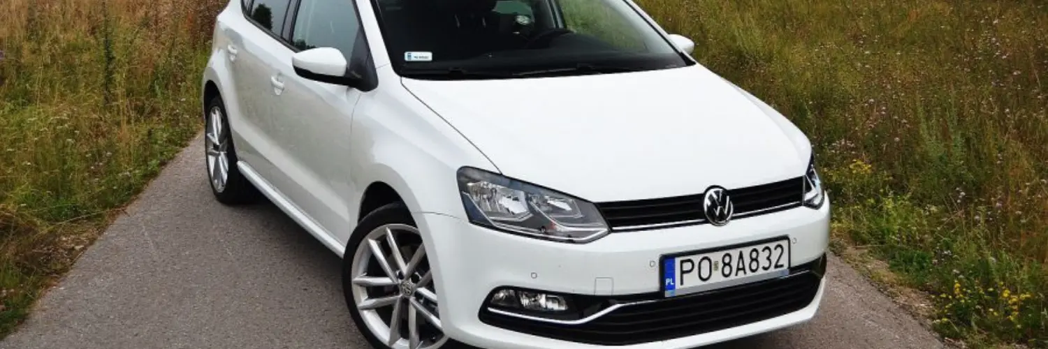 Polo Jant